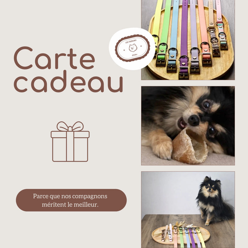 CARTE CADEAU