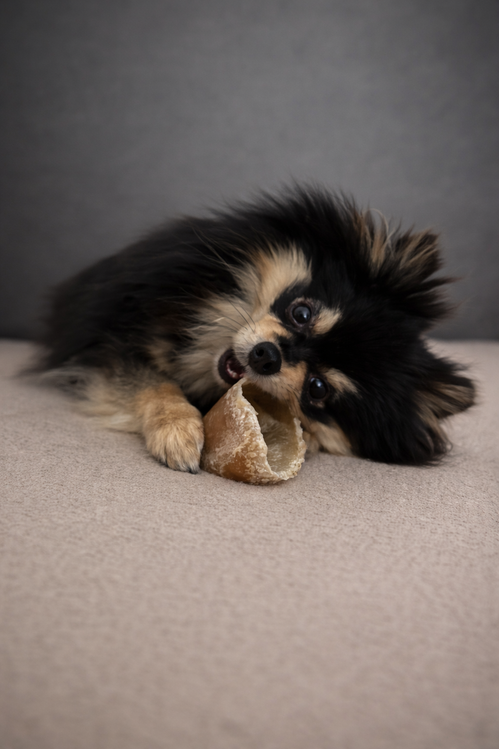 Mastication naturelle