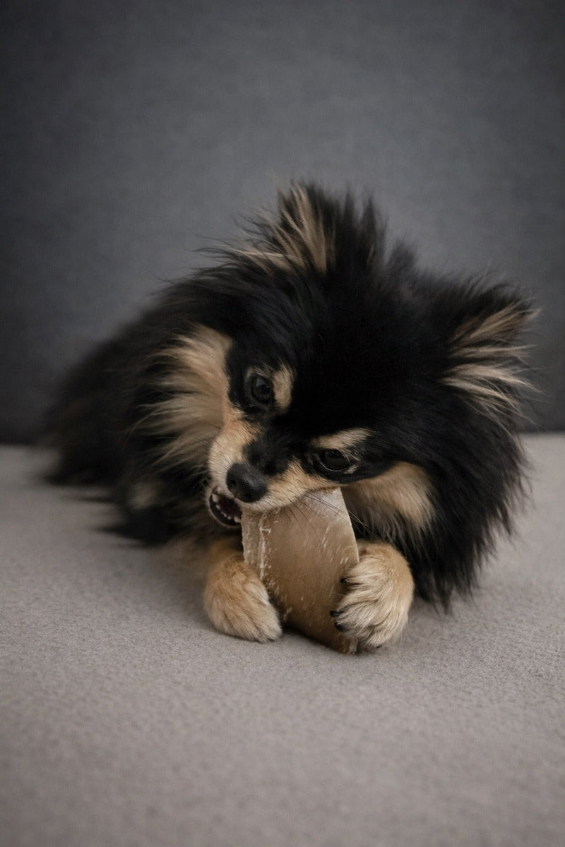 Mastication naturelle