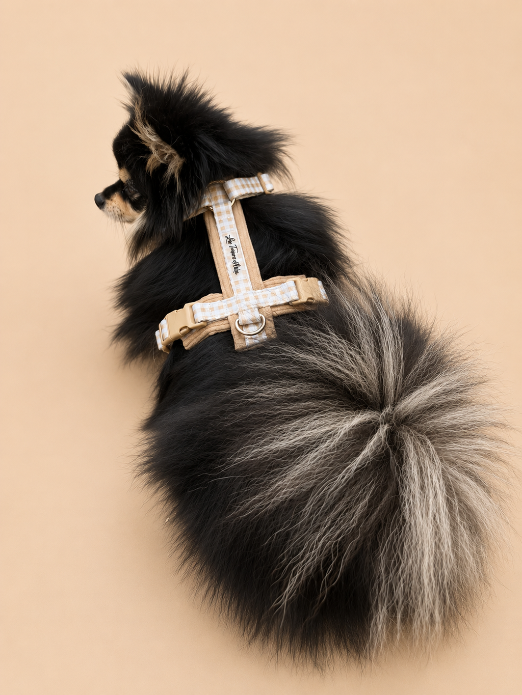 Harnais chien Vichy beige en velours côtelé 🤎