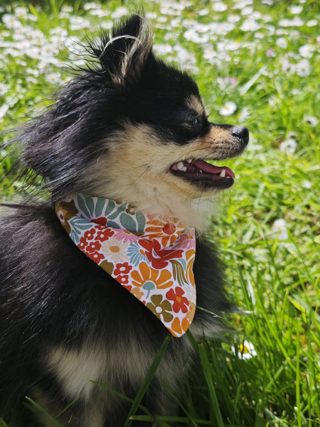 Bandana chien fleuri 🌸 - fait main