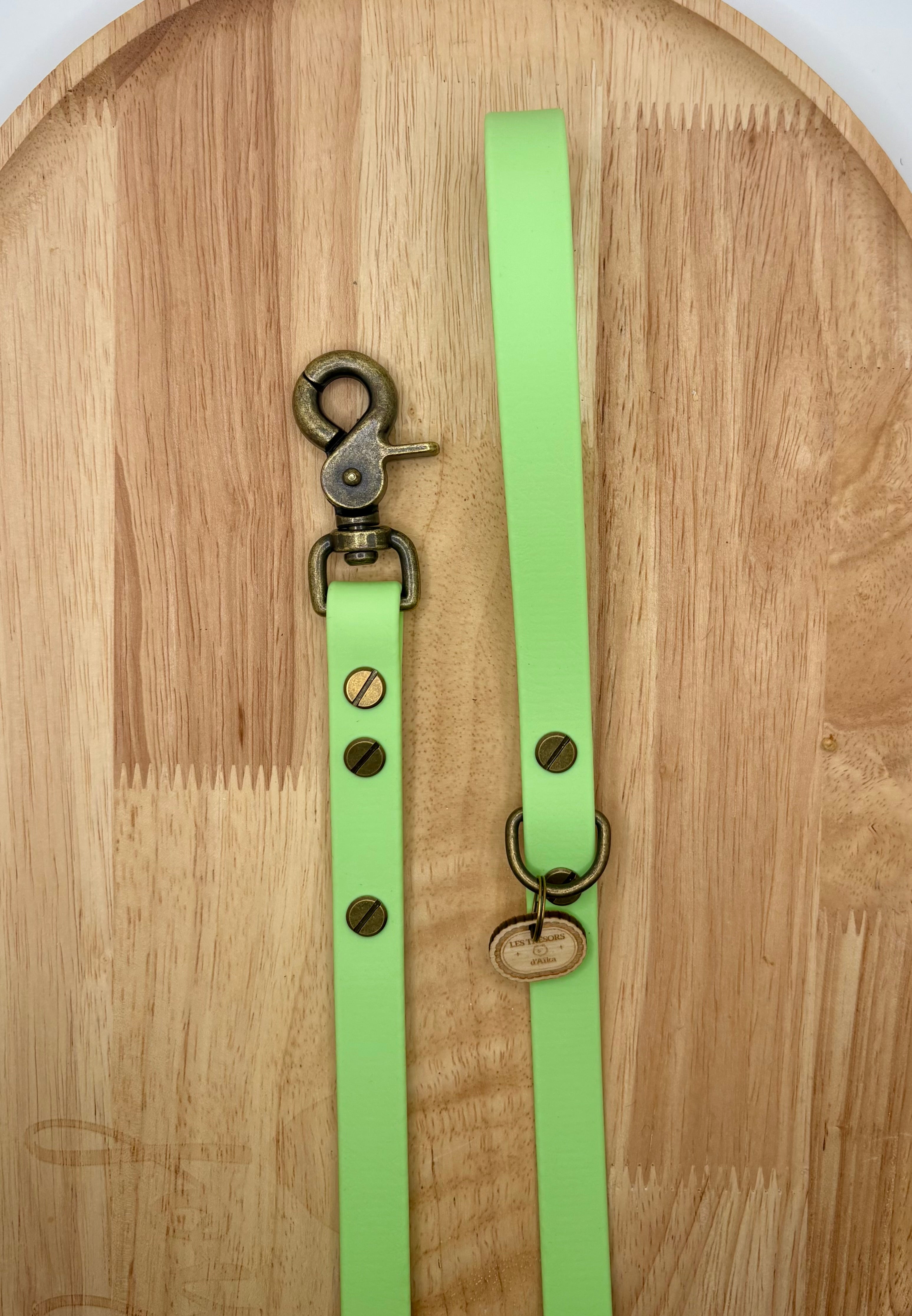 Laisse chien en biothane Vert pastel - fabrication artisanale