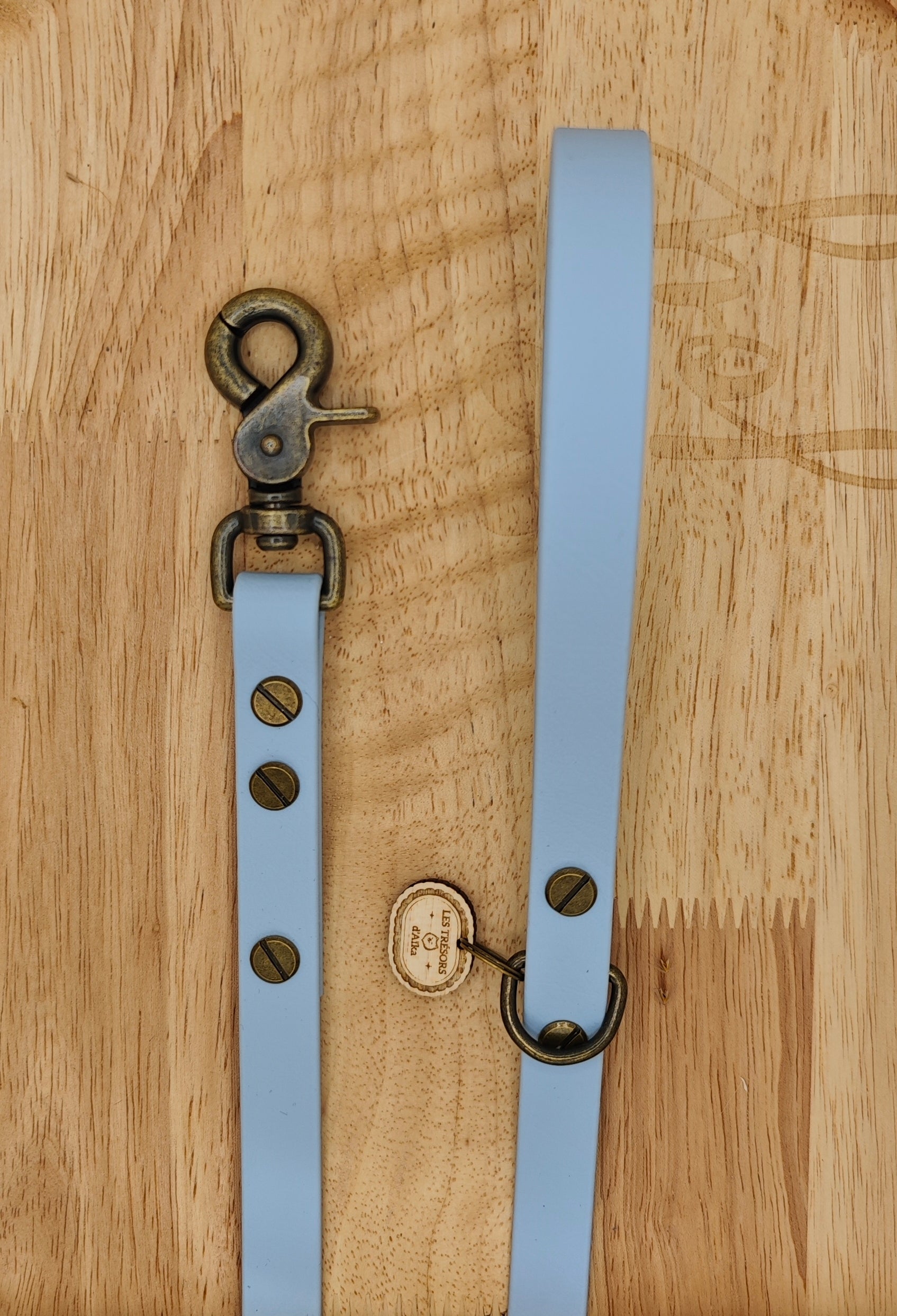 Laisse chien en Biothane Bleu Pastel - fabrication artisanale