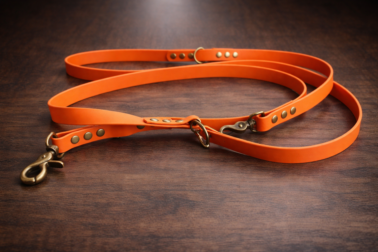 Laisse chien biothane