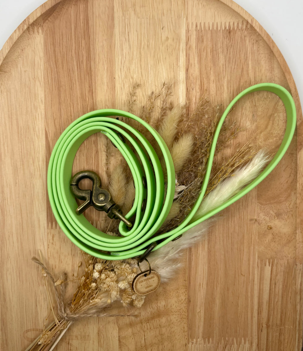 Laisse chien en biothane Vert pastel - fabrication artisanale