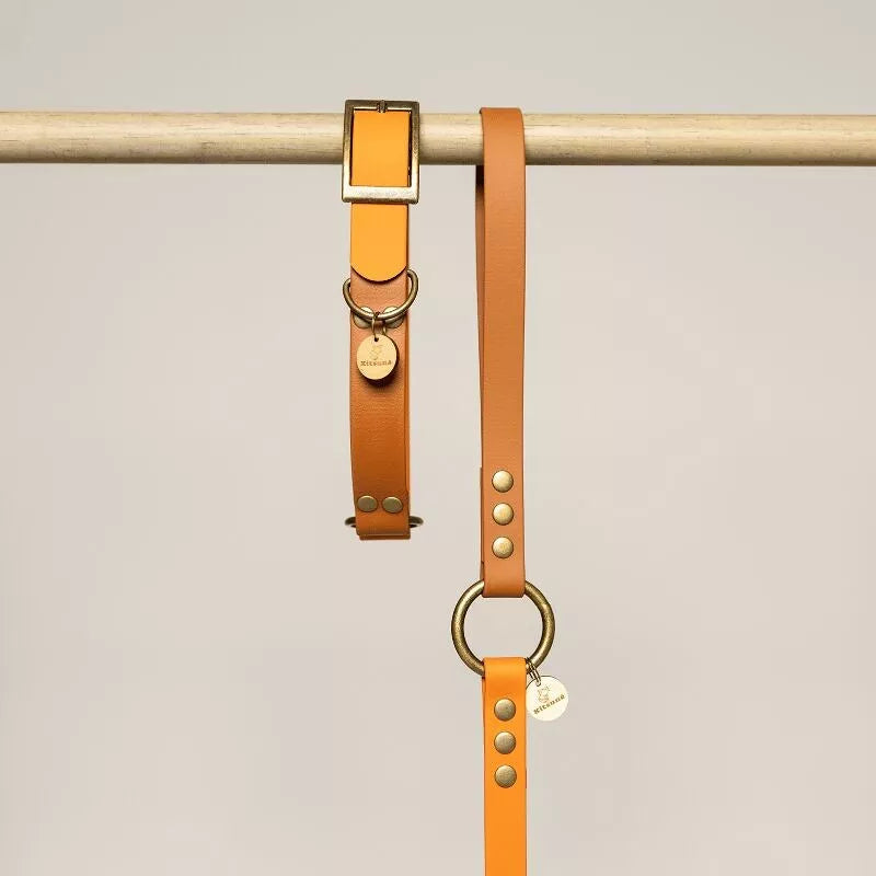 Collier chien biothane