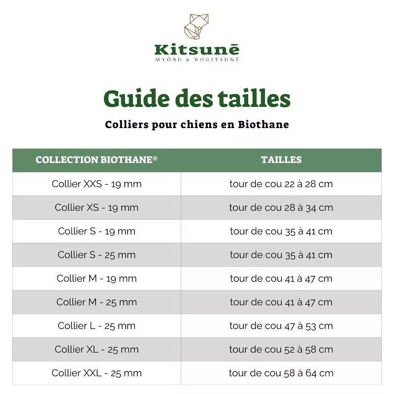 Collier chien biothane