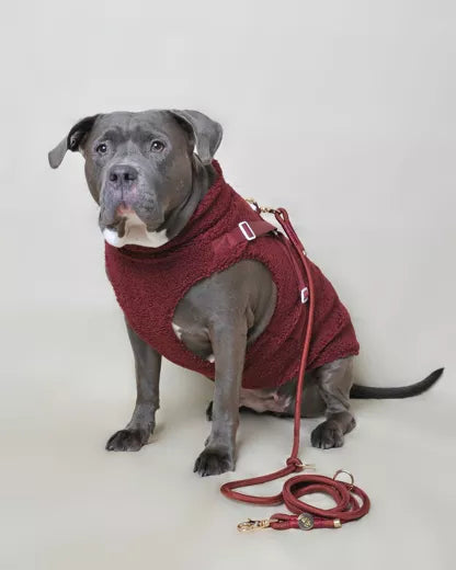 Laisse multi-positions - Rouge bordeaux