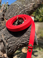 Longe 3 mètres pour chien en TPU rouge - fabrication artisanale ❤️