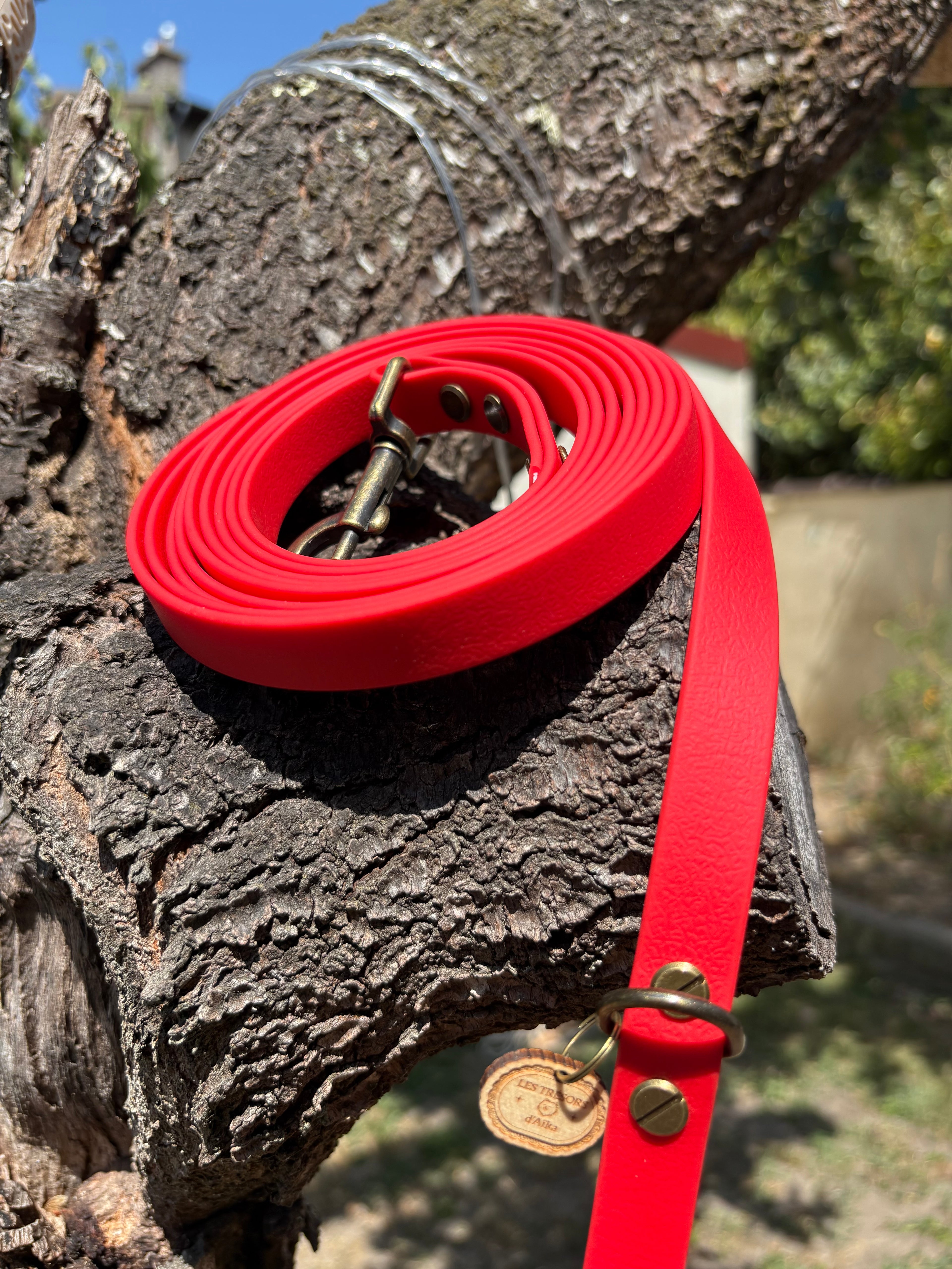 Longe 3 mètres pour chien en TPU rouge - fabrication artisanale ❤️