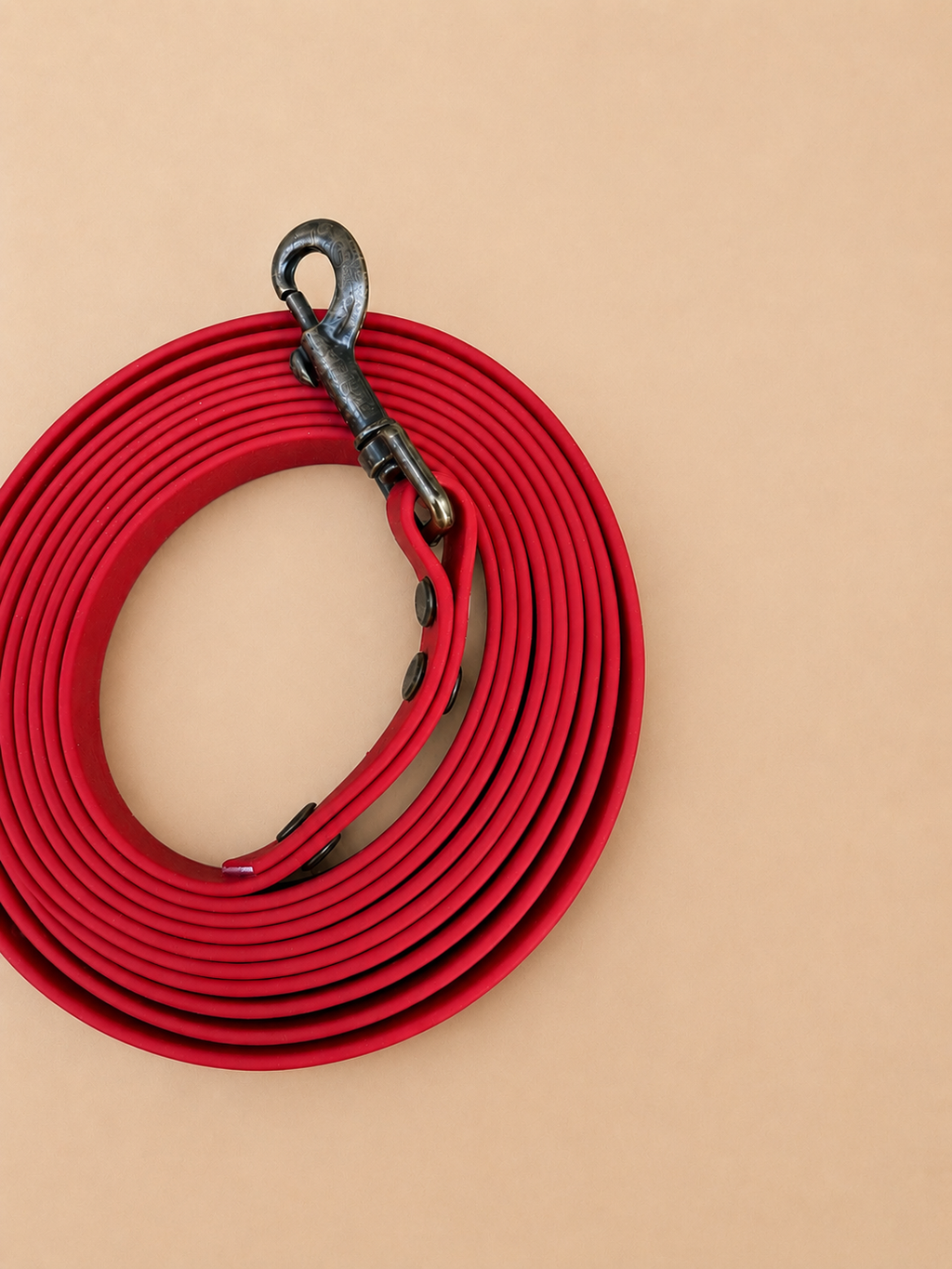 Longe 3 mètres pour chien en TPU rouge - fabrication artisanale ❤️