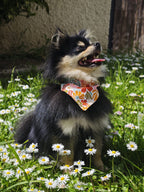 Bandana chien fleuri 🌸 - fait main