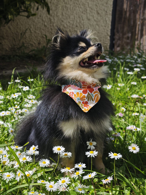 Bandana chien fleuri 🌸 - fait main