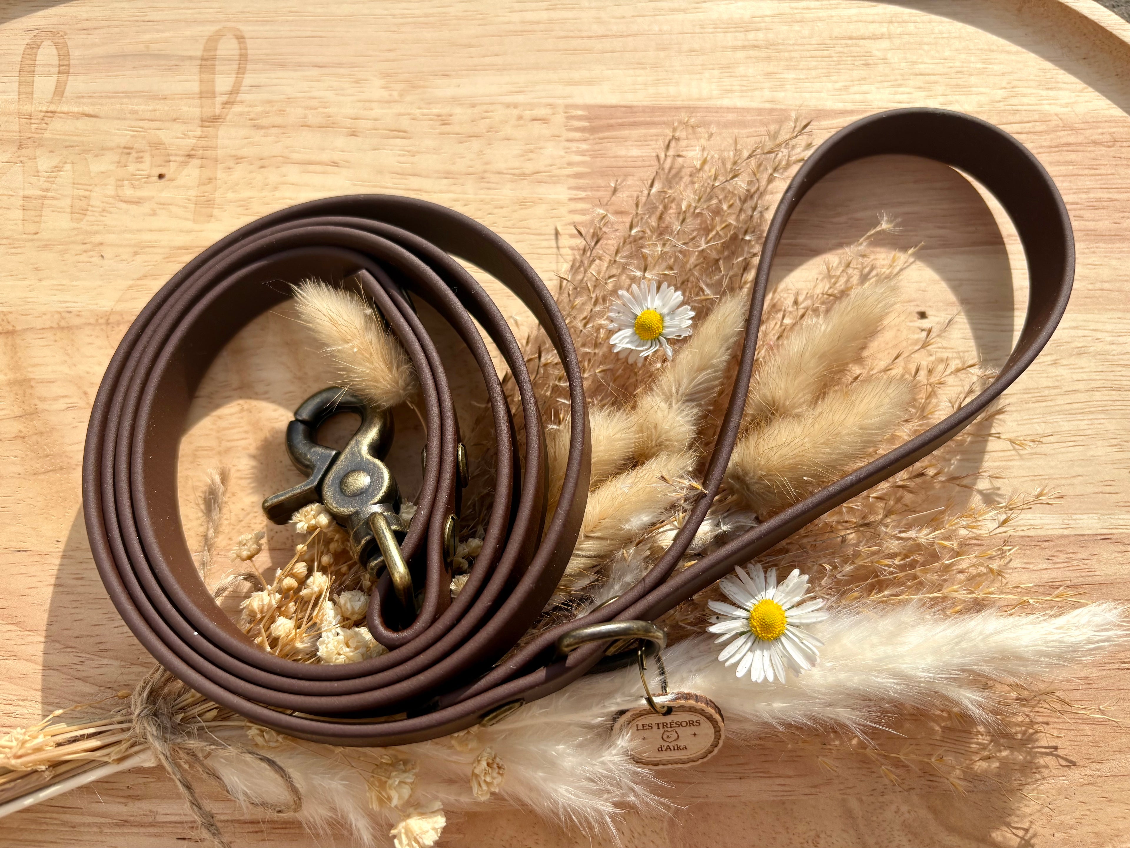 Laisse en Biothane chocolat – Fabrication artisanale