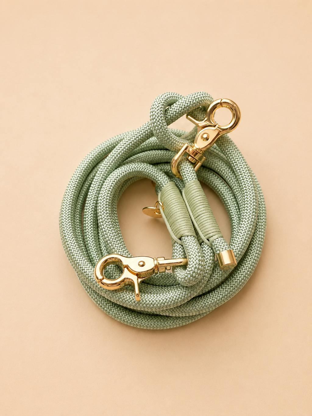 Laisse chien multi position- Vert Pastel