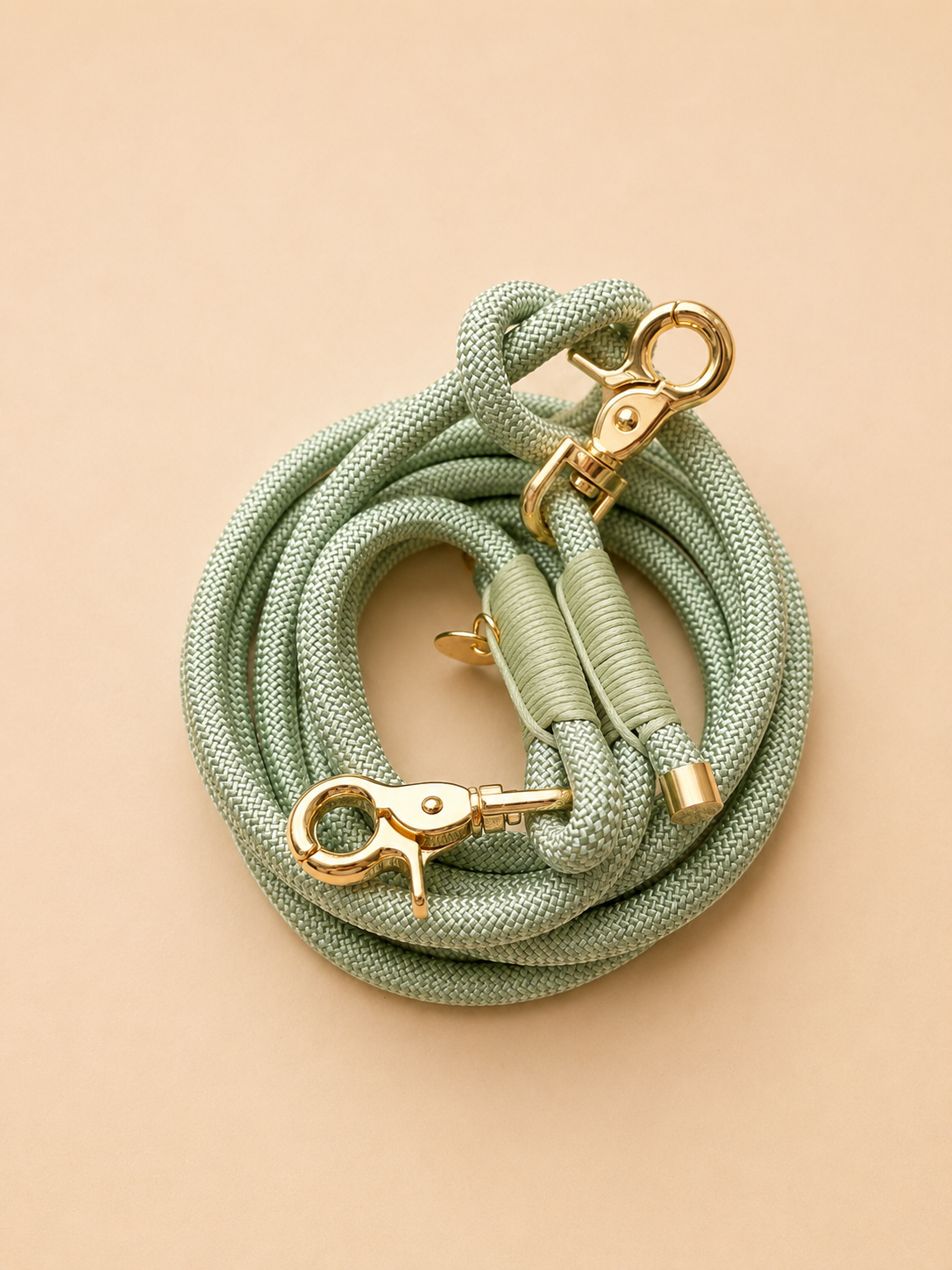 Laisse chien multi position- Vert Pastel