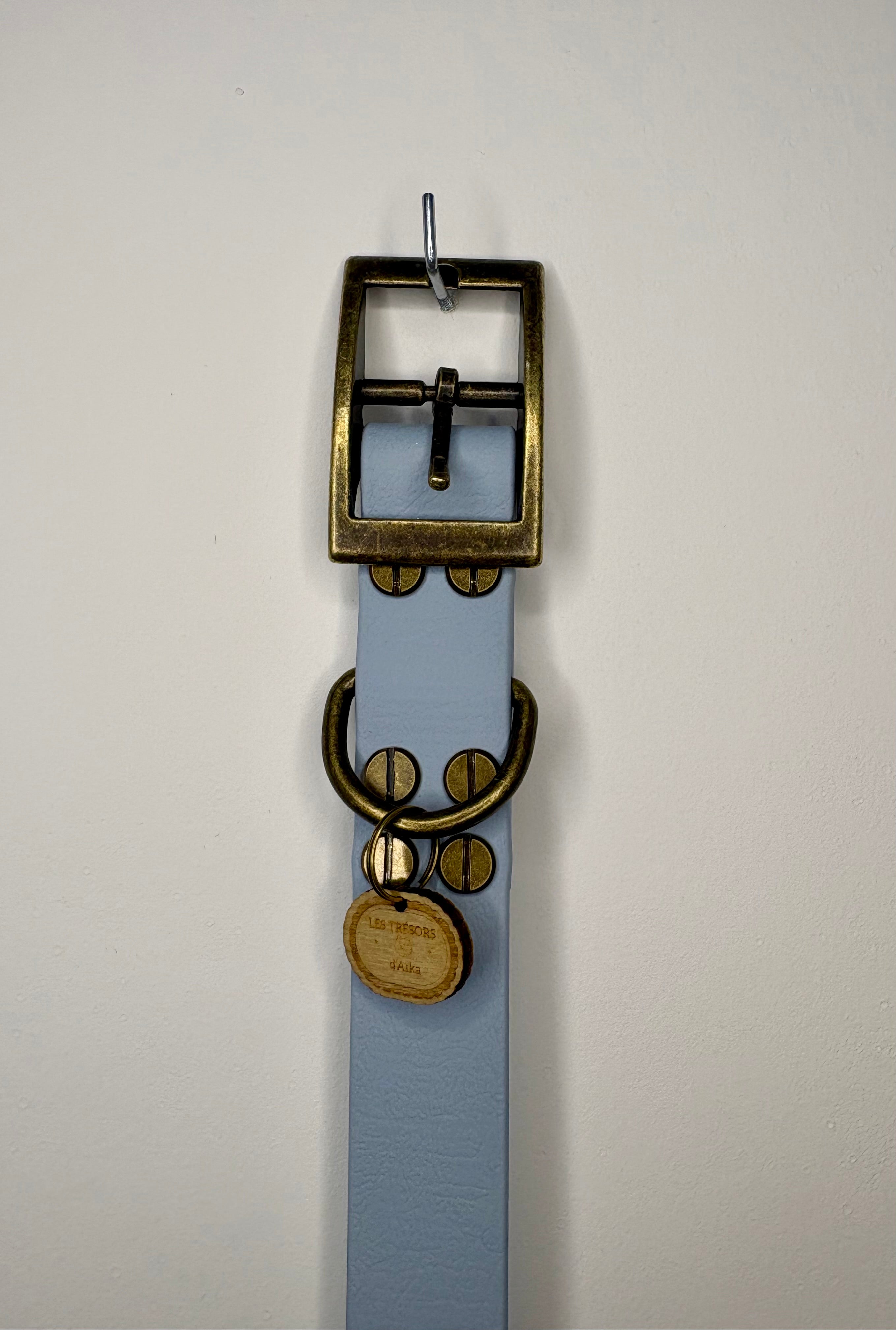 Collier chien Biothane bleu pastel – fait main – largeur 25mm