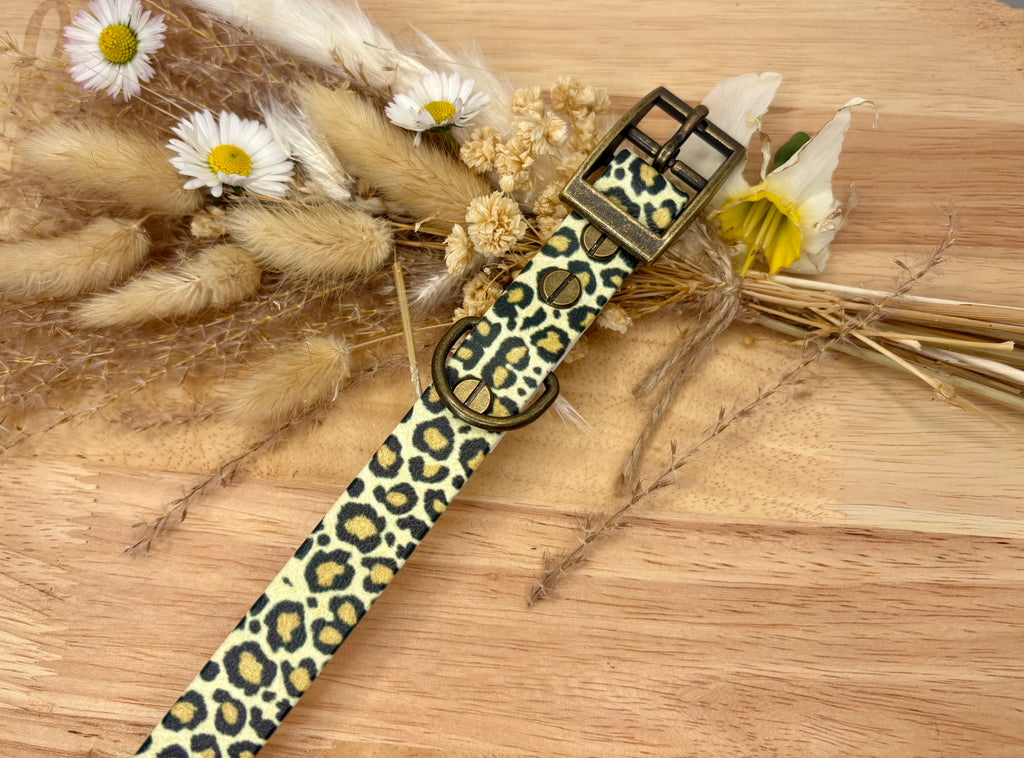 🐕 Collier chien Biothane Léopard – fait main – largeur 19 ou 25mm