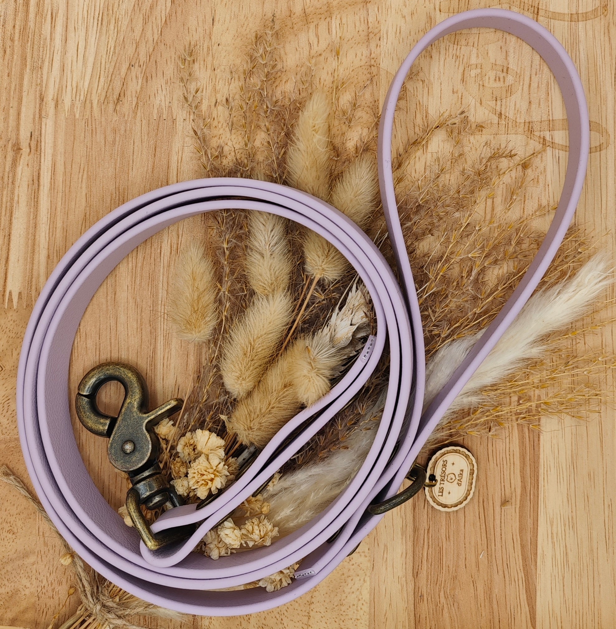 Laisse chien en Biothane LILA - fabrication artisanale