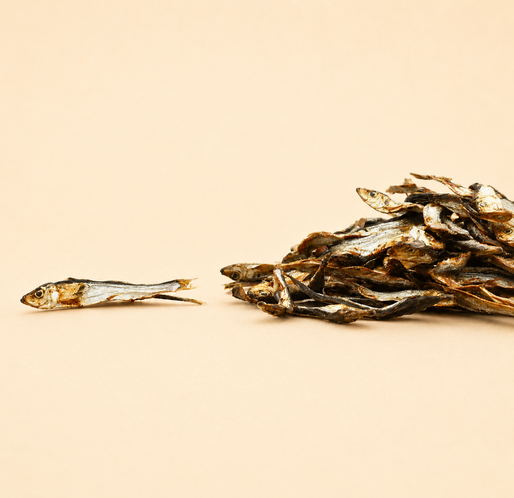 🐟 Sprats séchés pour chien – Friandise naturelle au poisson