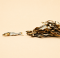 🐟 Sprats séchés pour chien – Friandise naturelle au poisson