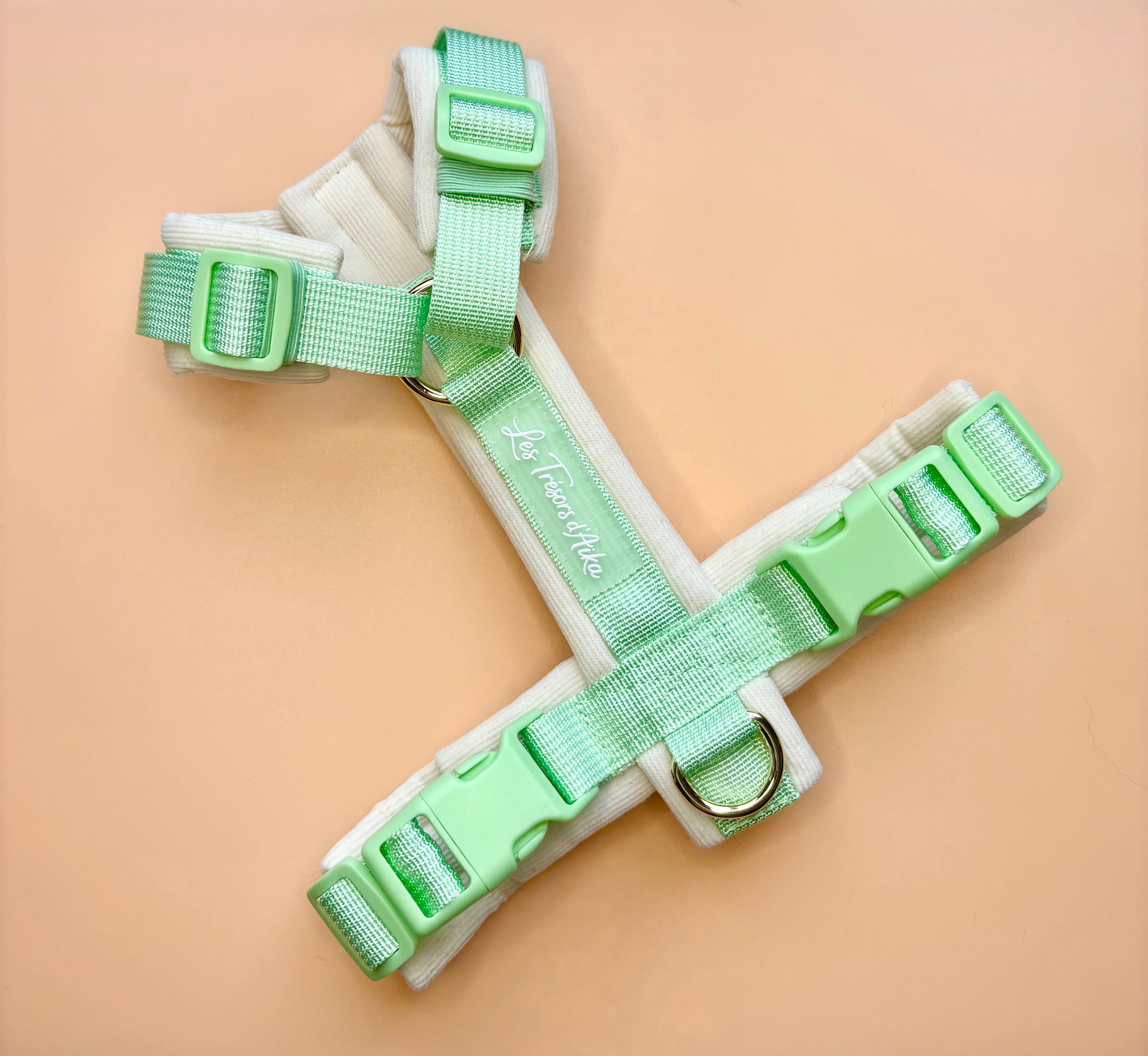 Harnais pour chien – Vert pastel en velours 💚