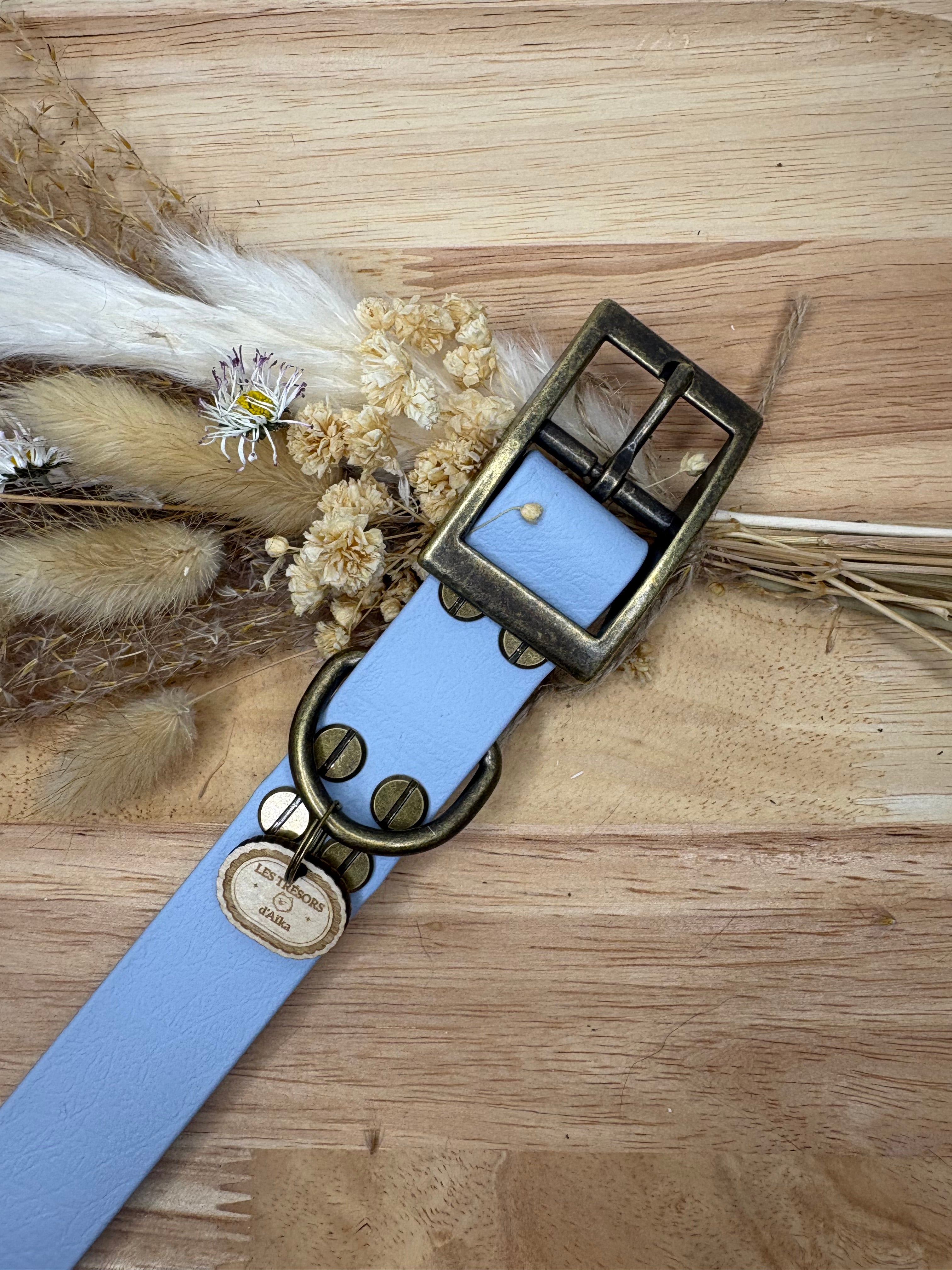 Collier chien Biothane bleu pastel – fait main – largeur 25mm