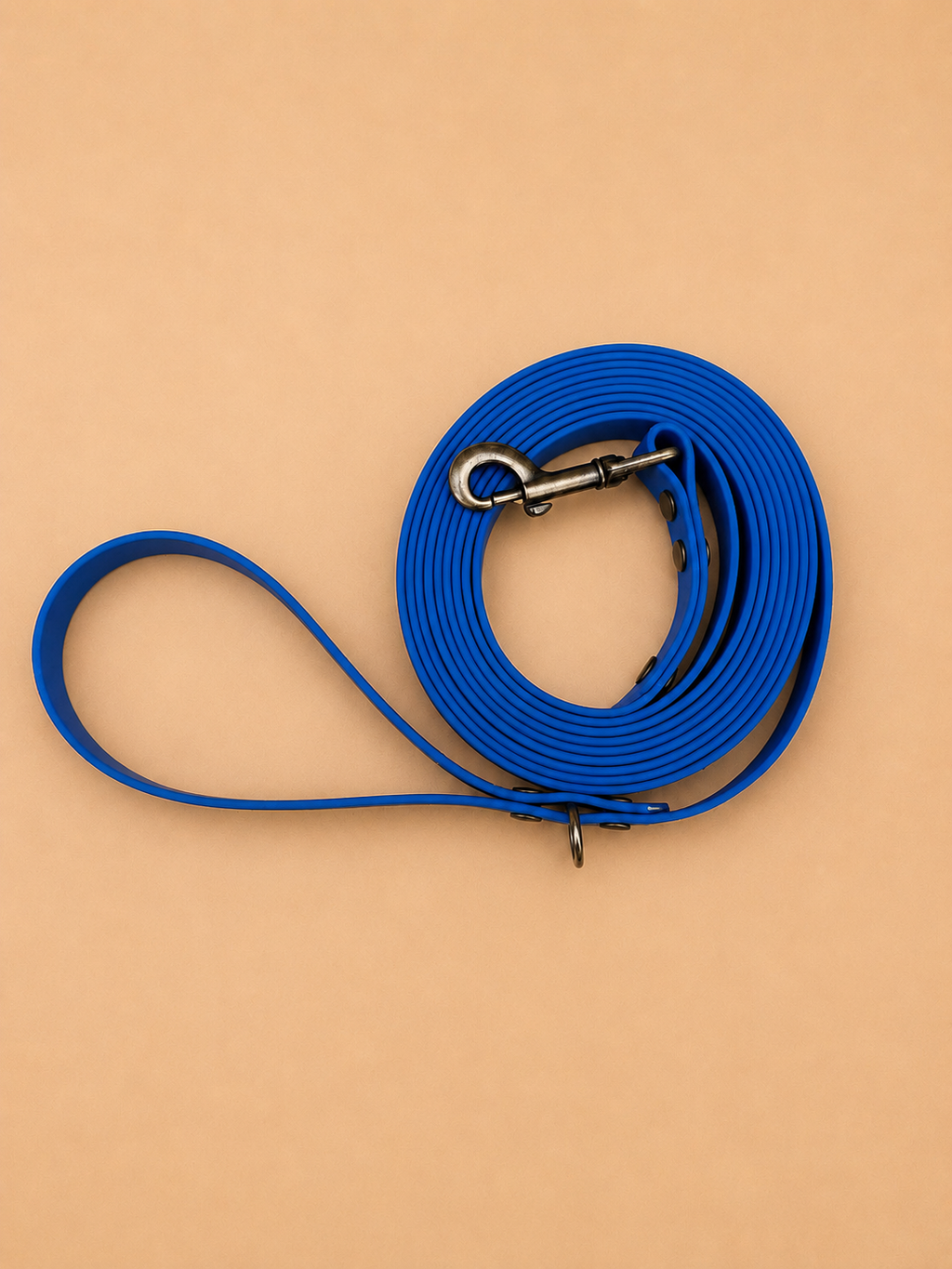 Longe 3 mètres pour chien en TPU bleu électrique - fabrication artisanale 💙