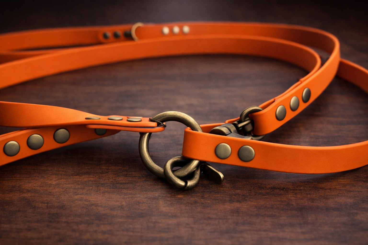 Laisse chien biothane