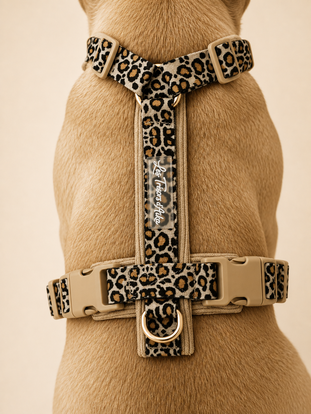 Harnais pour chien – Léopard/ beige en velours côtelé 🐆
