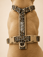 Harnais pour chien – Léopard/ beige en velours côtelé 🐆