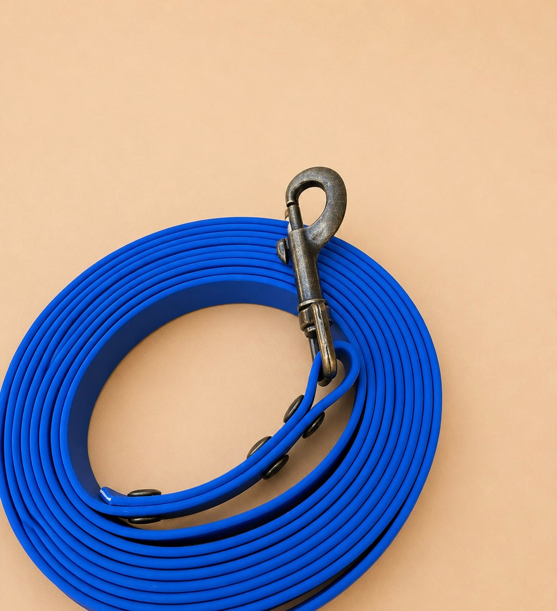 Longe 3 mètres pour chien en TPU bleu électrique - fabrication artisanale 💙