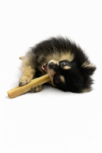 🧀 Fromage de Yak pour Chien | Friandise Naturelle à Mâcher