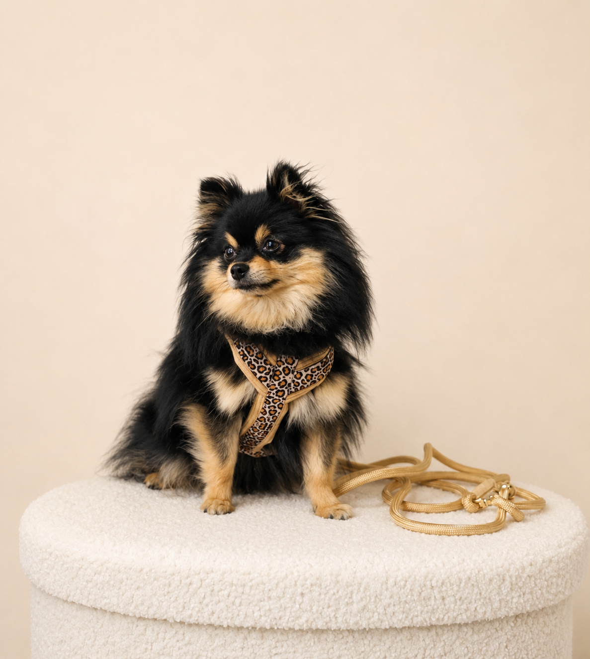 Harnais pour chien – Léopard/ beige en velours côtelé 🐆