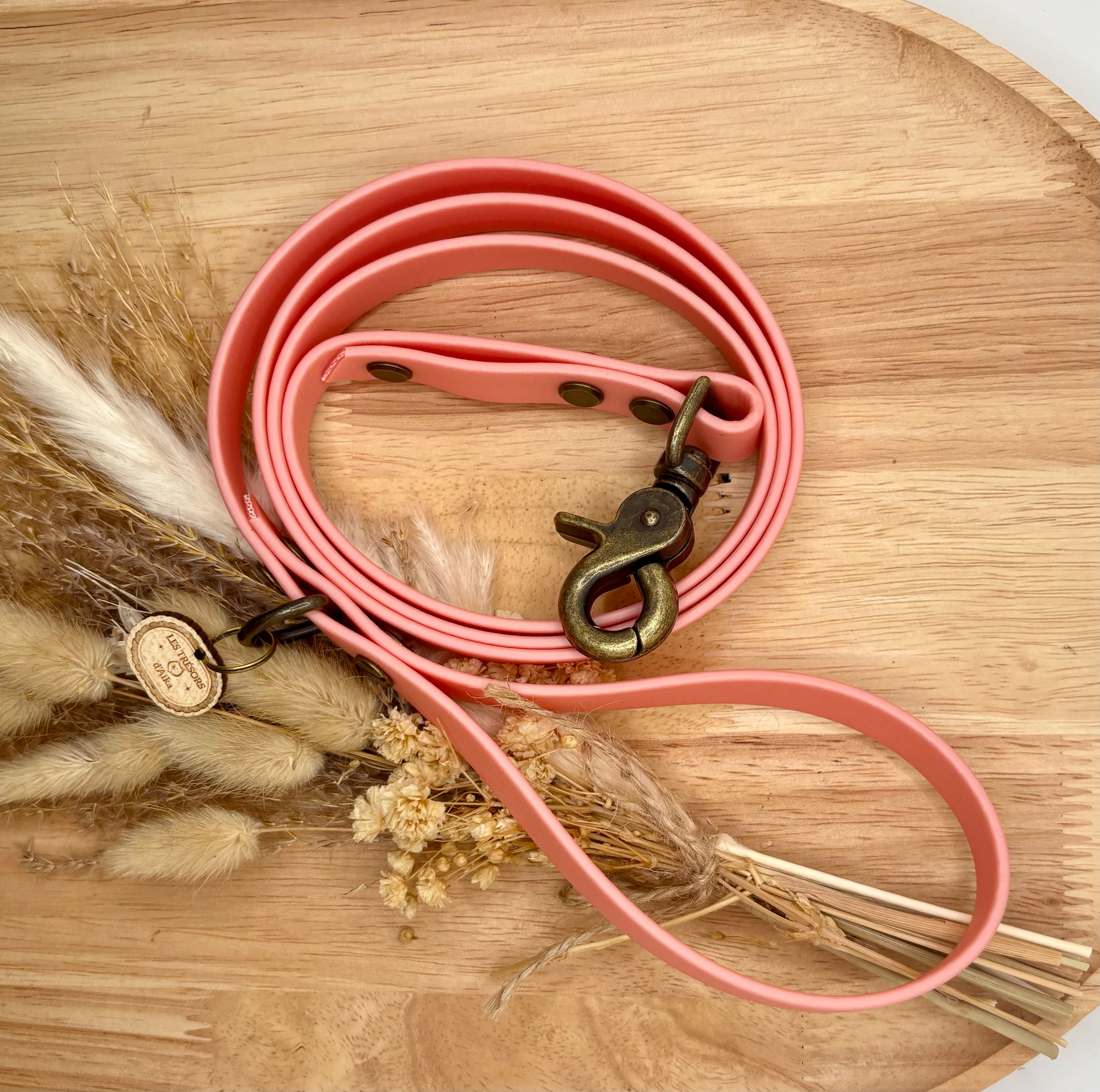 Laisse chien en biothane Rose doré - fabrication artisanale
