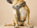 Harnais pour chien – Léopard/ beige en velours côtelé 🐆