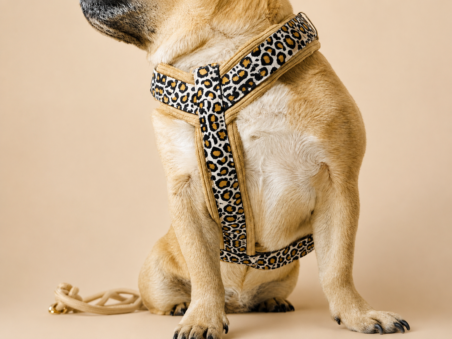 Harnais pour chien – Léopard/ beige en velours côtelé 🐆