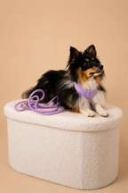 Harnais pour chien – Lila en velours côtelé 💜