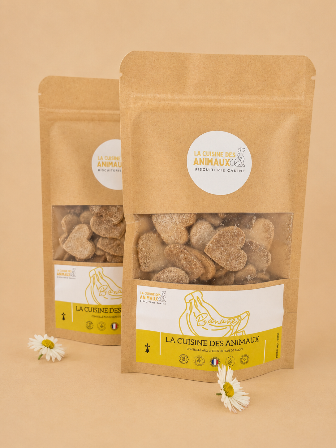 🍌 Biscuits artisanaux à la banane pour chien