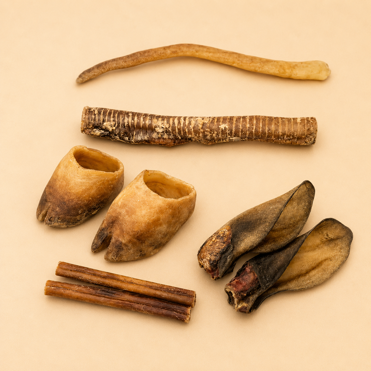 🐶 Box Mastication Gros Mâcheur pour chien – Friandises naturelles résistantes