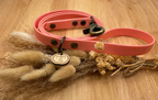 Laisse chien en biothane Rose doré - fabrication artisanale