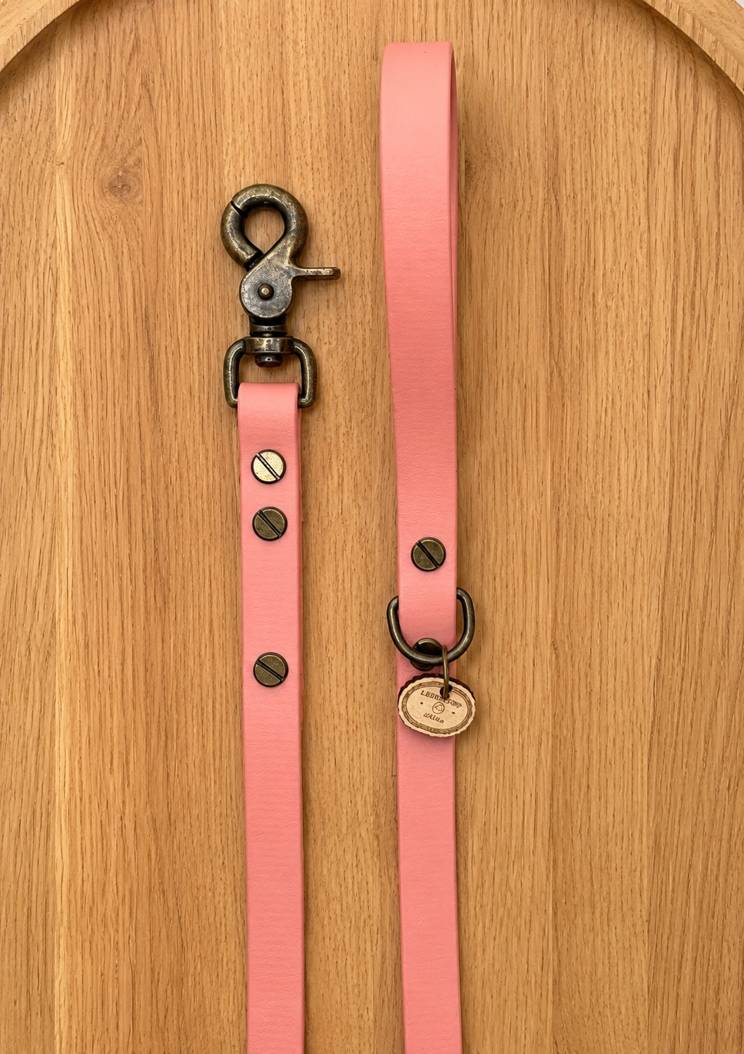 Laisse chien en biothane Rose doré - fabrication artisanale
