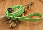 Laisse chien en biothane Vert pastel - fabrication artisanale