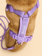 Harnais pour chien – Lila en velours côtelé 💜