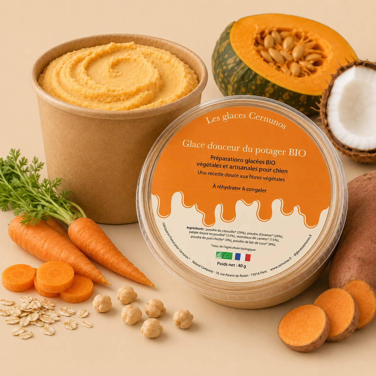 Glaces BIO pour chiens 🍦 - 4 recettes à préparer