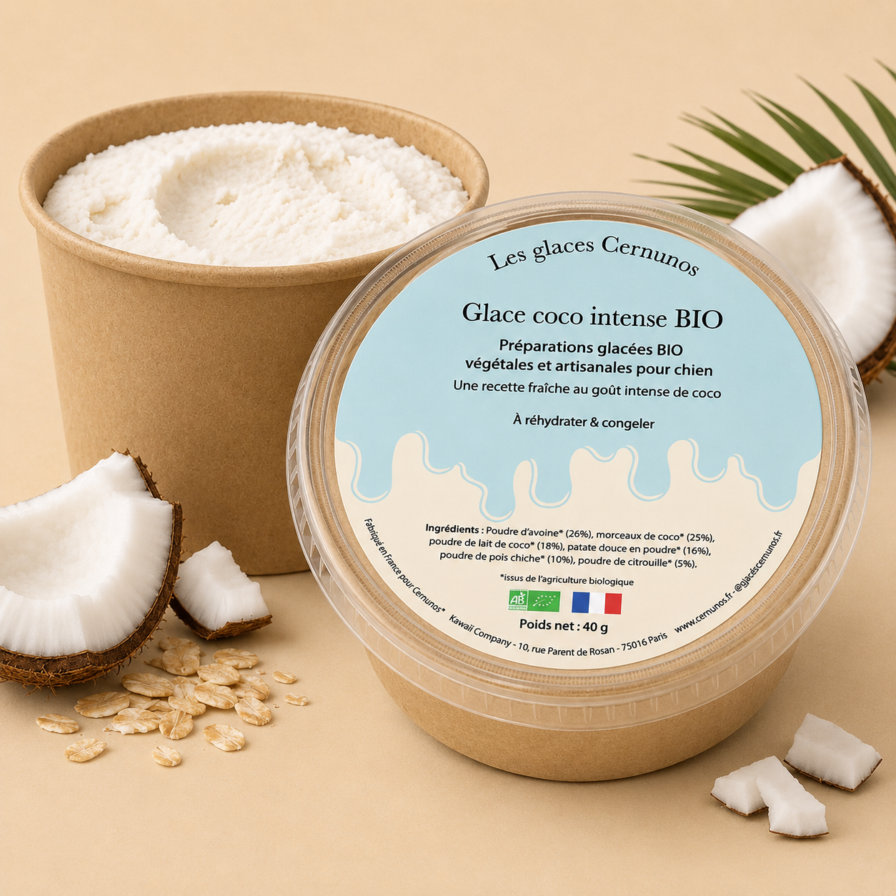 Glaces BIO pour chiens 🍦 - 4 recettes à préparer