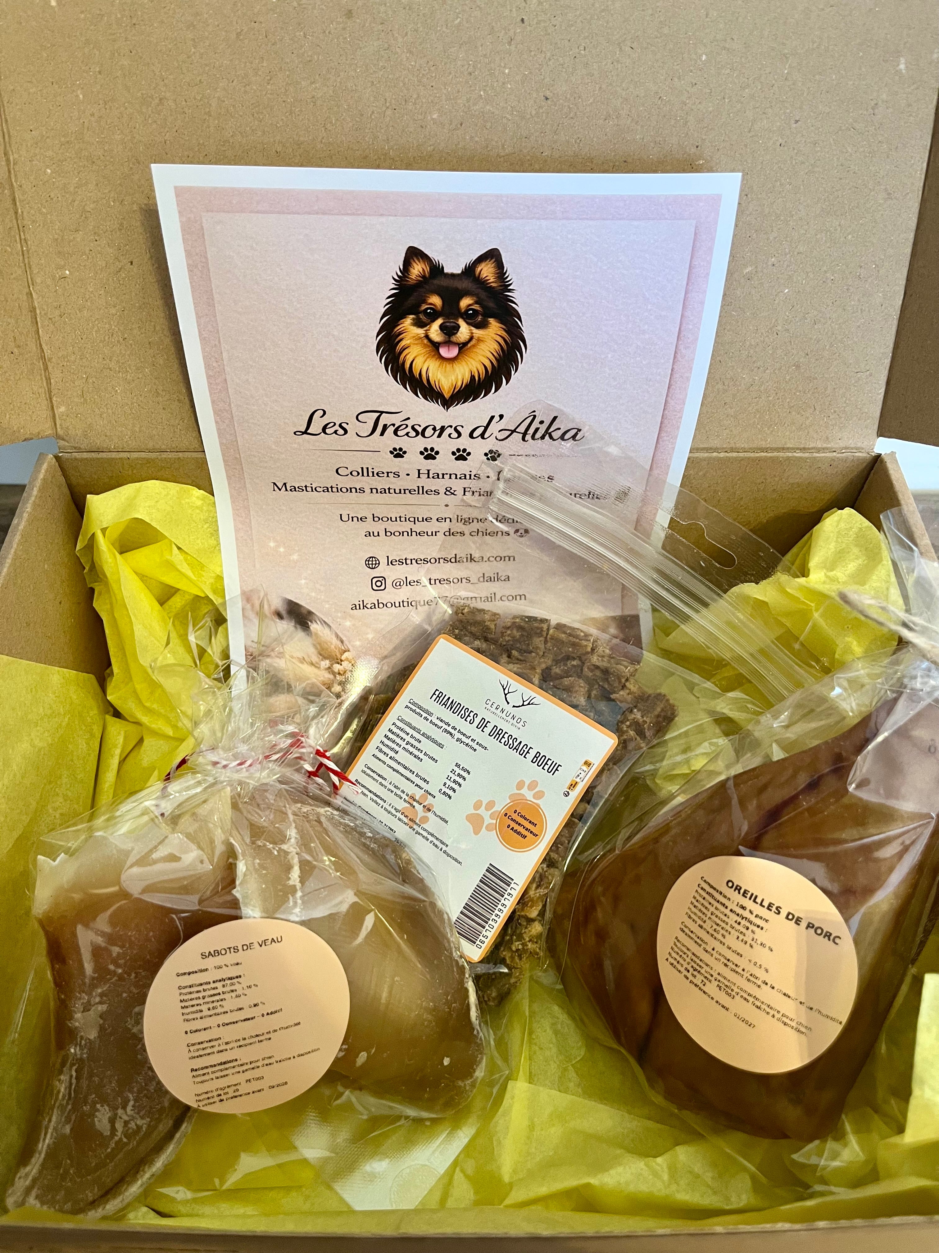 Boite mastication chien