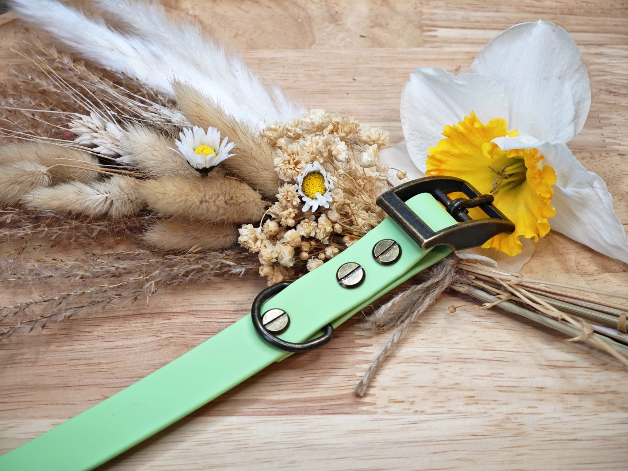 Collier chien Biothane Vert pastel – fait main – largeur 19 mm