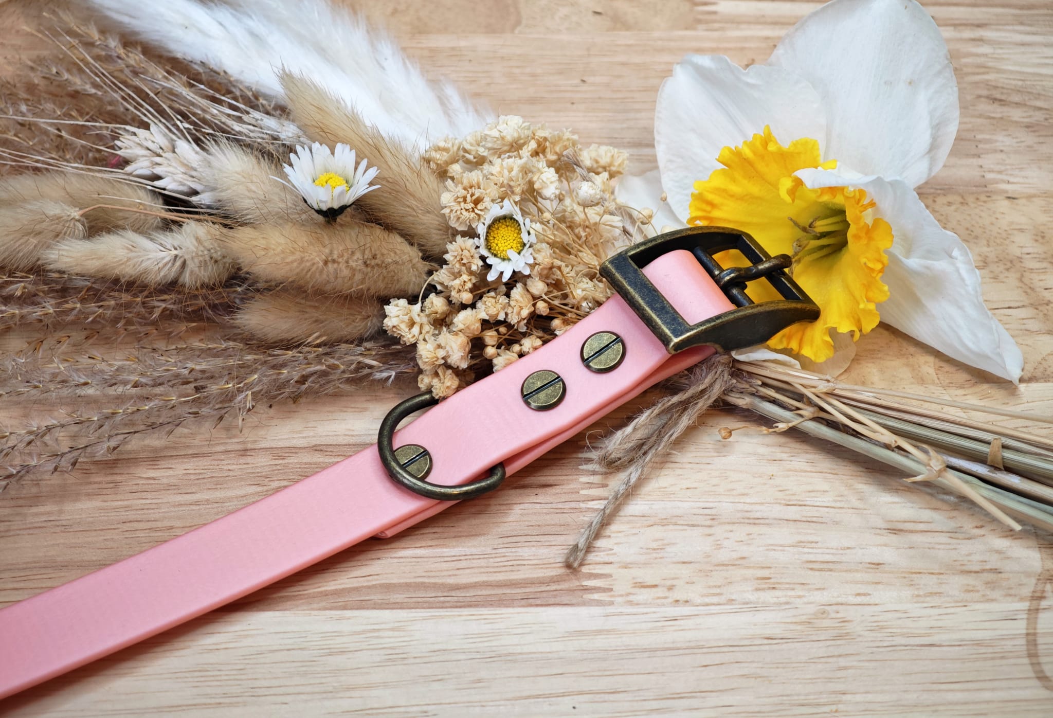 Collier chien Biothane Rose Or – fait main – largeur 19 mm