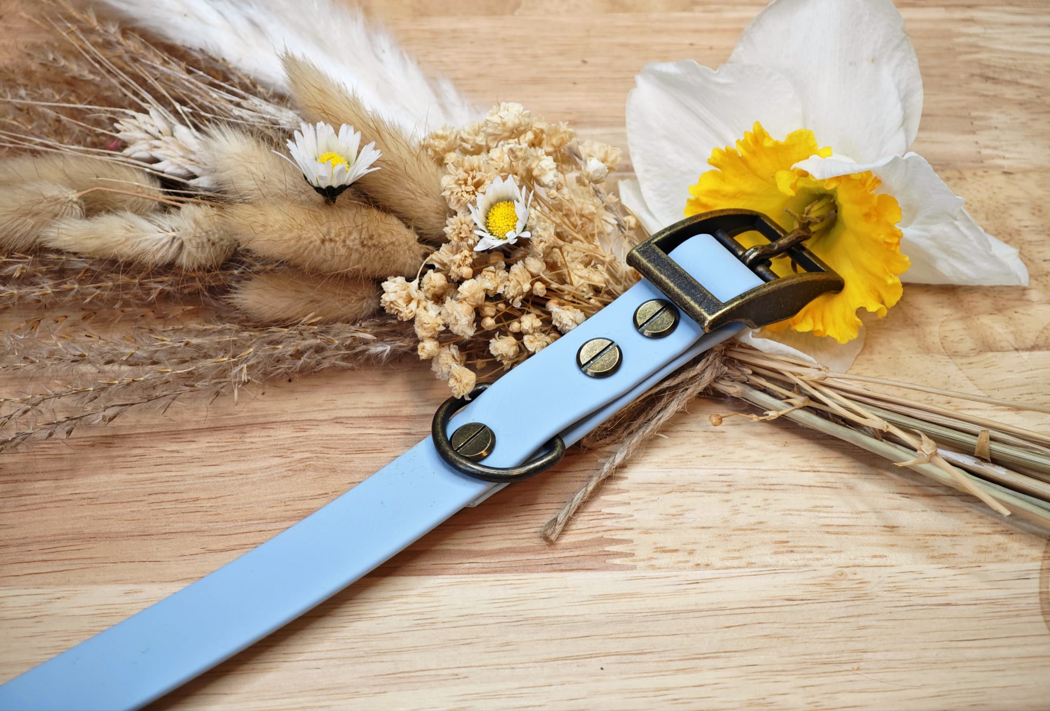 Collier chien Biothane Bleu pastel – fait main – largeur 19 mm